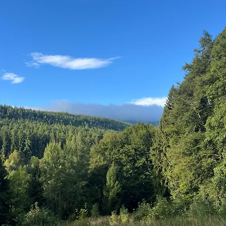 Pod Piekielkiem 公寓 *