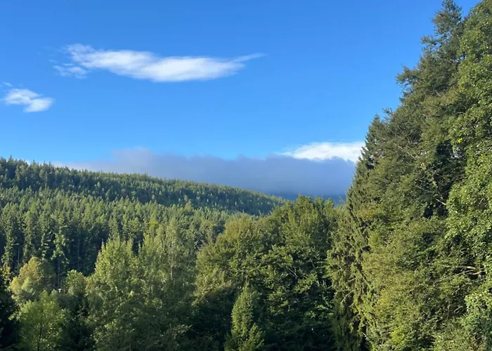 Pod Piekielkiem Apartment *